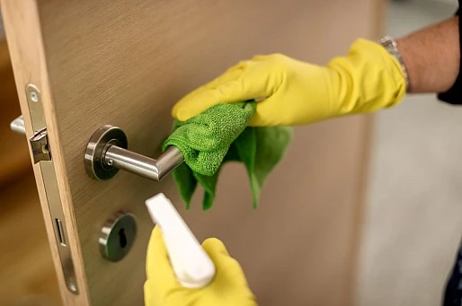 Limpieza de particulares